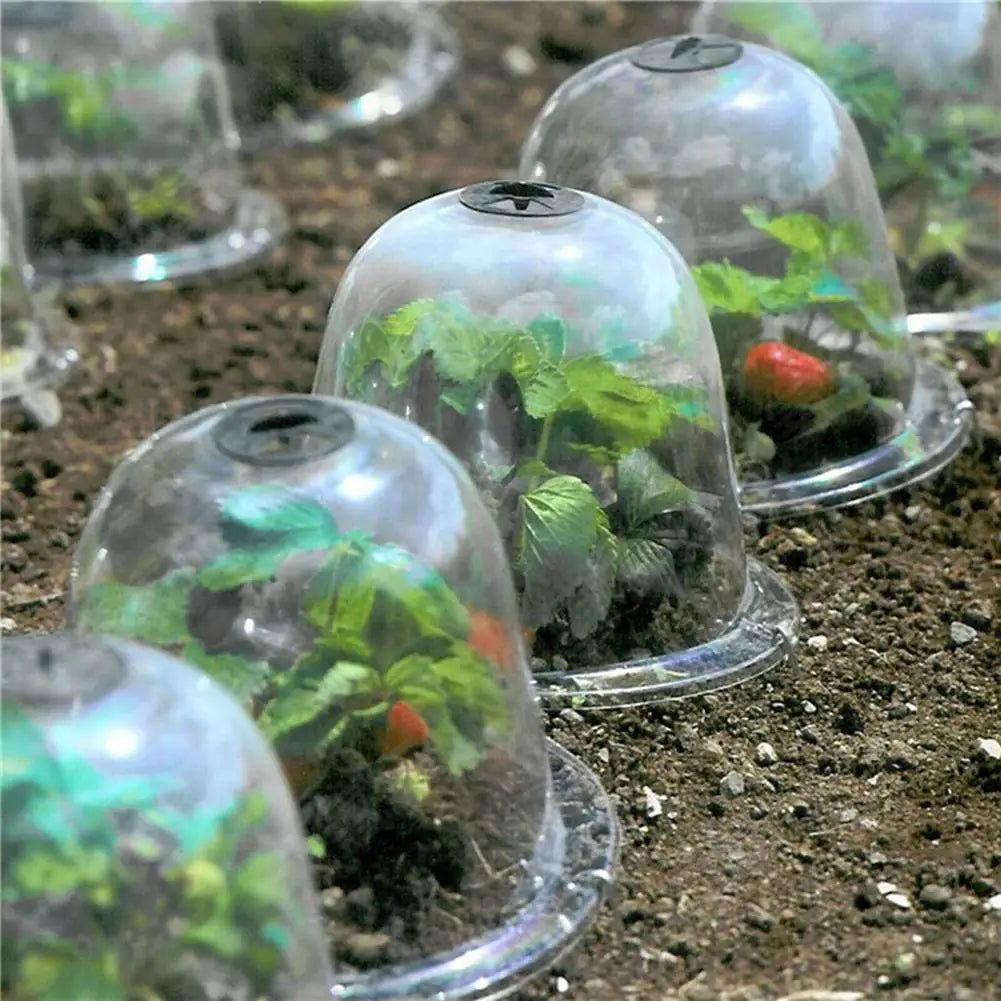 BowLift | Frost Protection Clear Garden Plant Cover