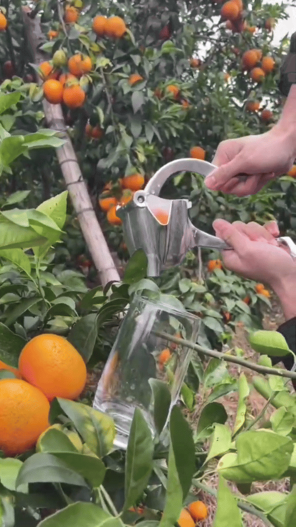 BowLift | Fruit  Juice Squeezer