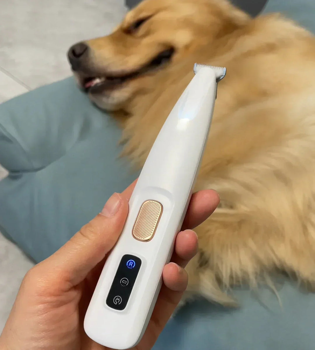 BowLift | PawSpa - Silent and waterproof trimmer for cats and dogs