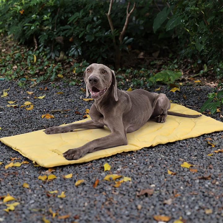 BowLift | Folding Waterproof Portable Dog Car Seat Mat Dog Camping Mat