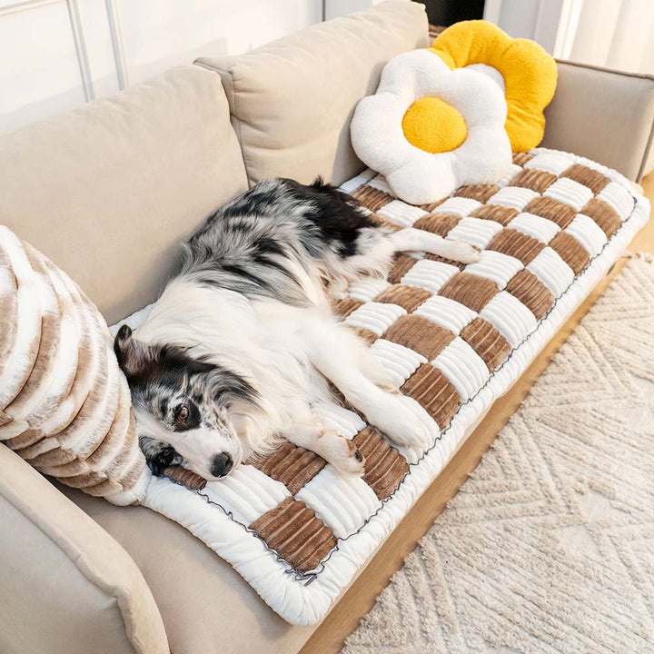 CozyCover – Elegant Blanket for Pet and Human Bowlift
