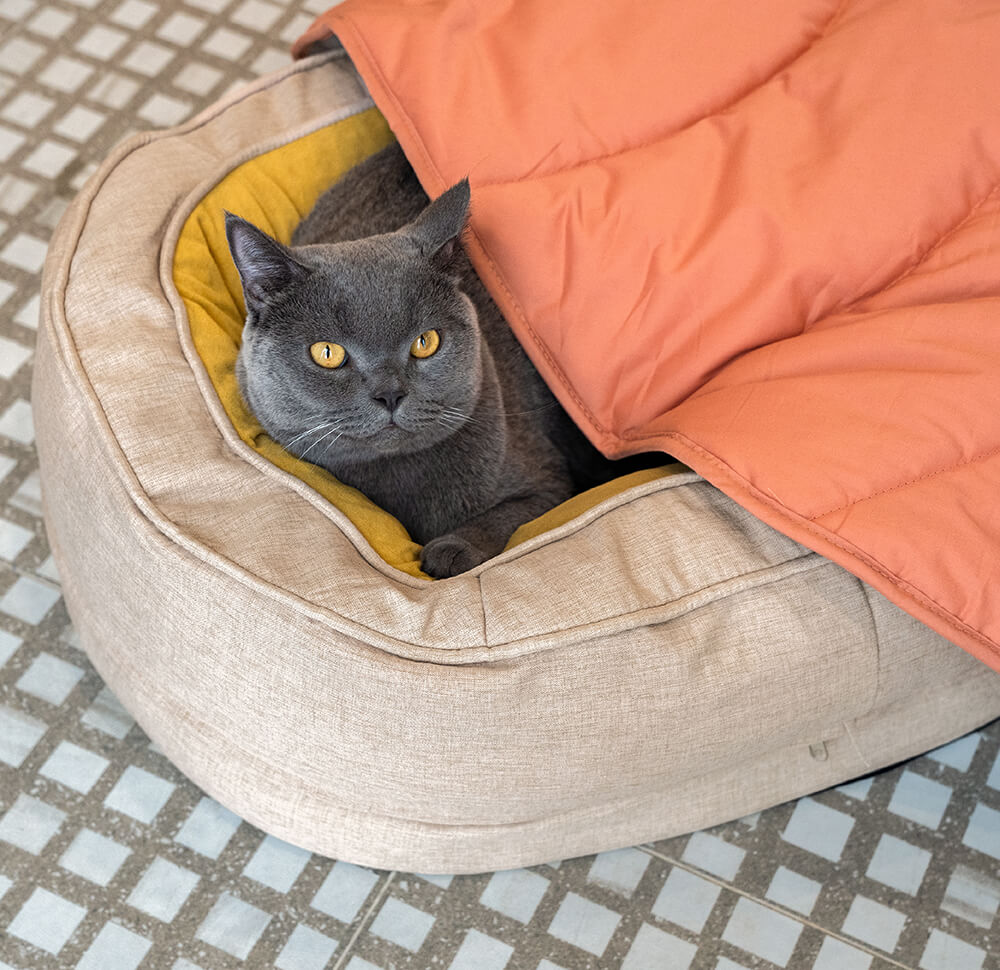 BowLift | Dog Blanket Mat for Large Pets