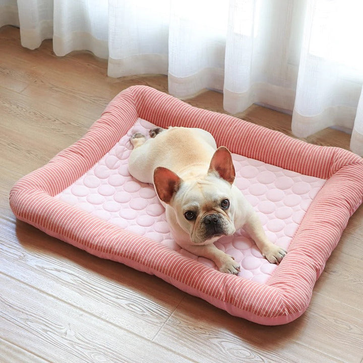 FurChill Frenchie Breathable Dog Bed – Cooling Mat with Non-Slip Base for Hot Days | Bowlift
