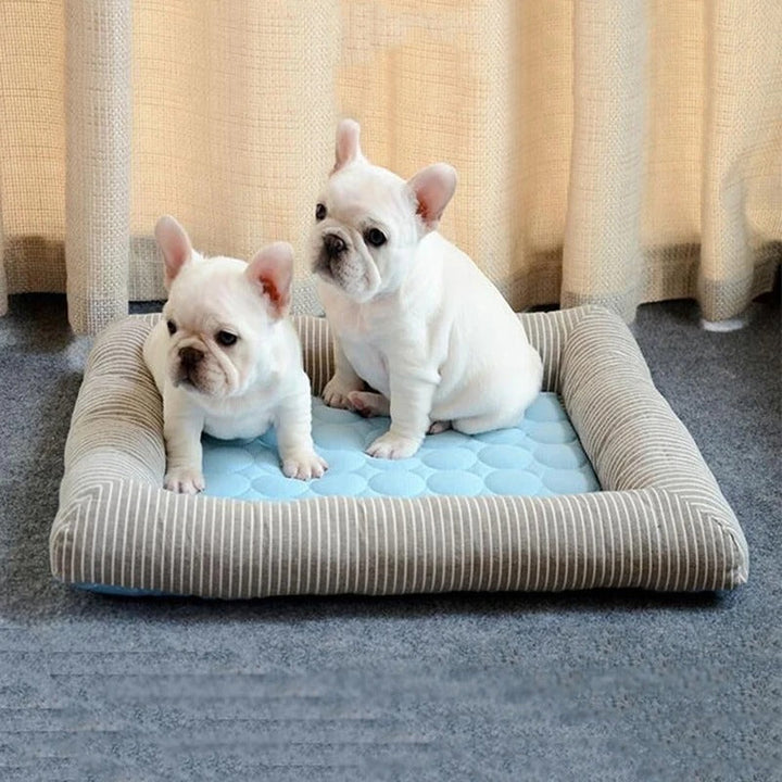 FurChill Frenchie Breathable Dog Bed – Cooling Mat with Non-Slip Base for Hot Days | Bowlift