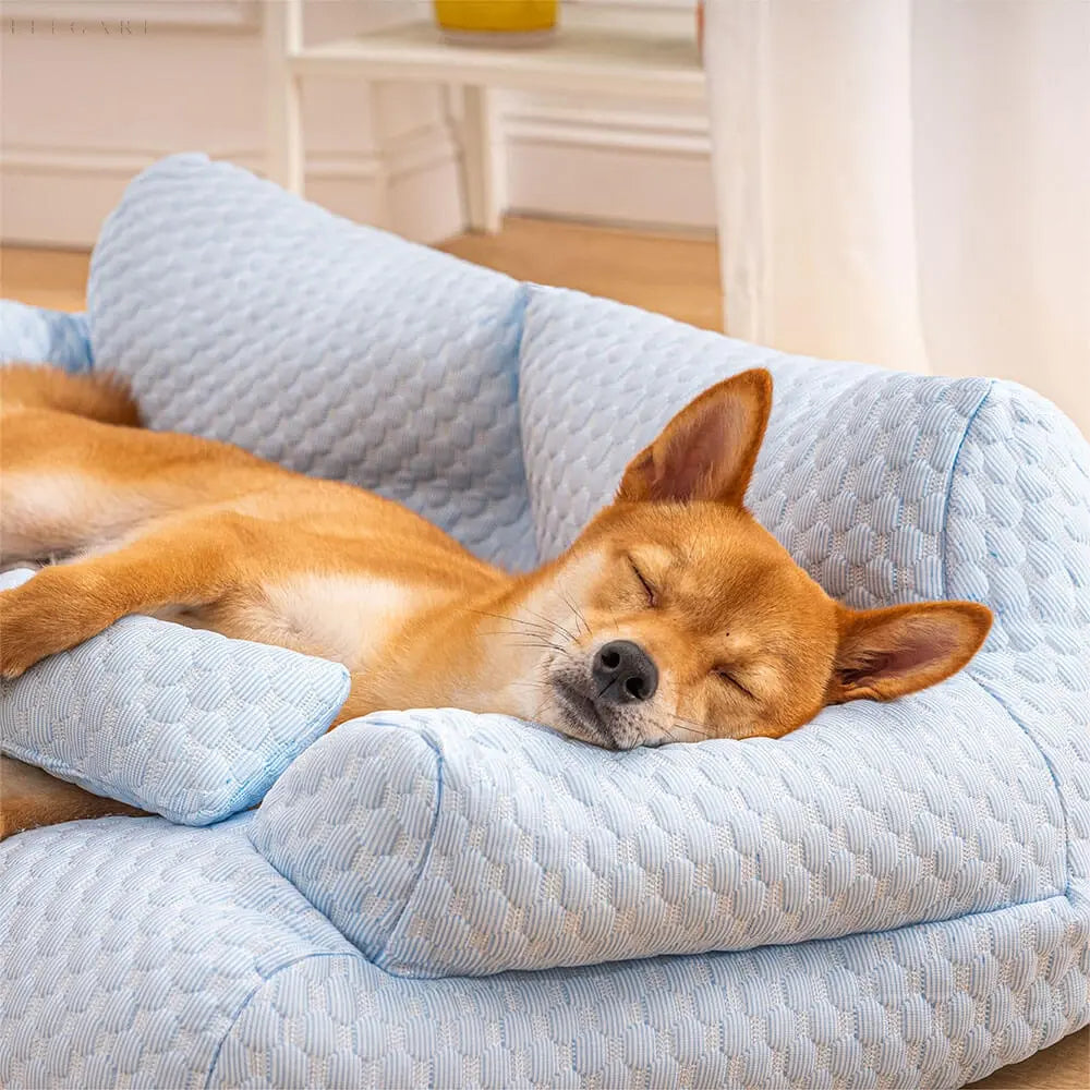 BowLift | Washable Plush Cushion Bed for Pets - CozyPaws