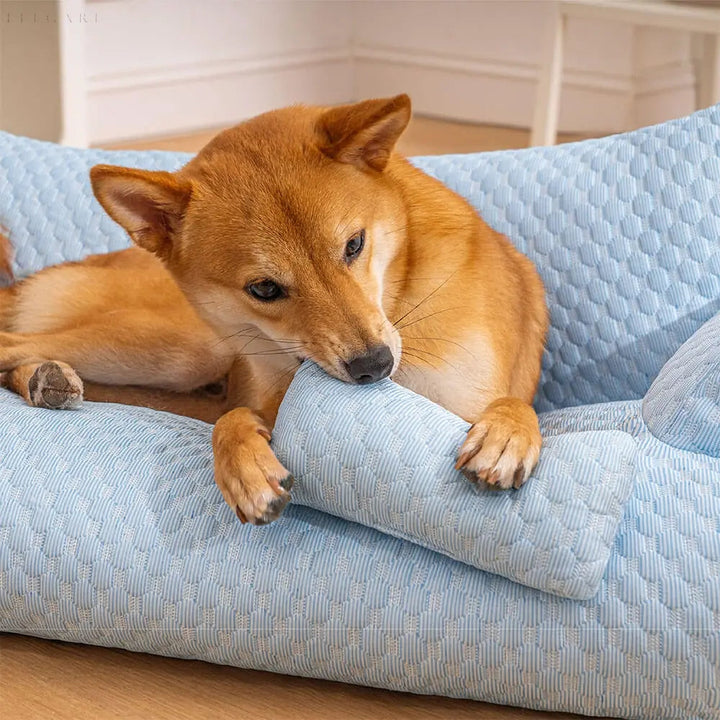 BowLift | Washable Plush Cushion Bed for Pets - CozyPaws