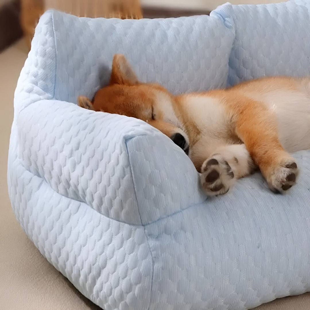 BowLift | Washable Plush Cushion Bed for Pets - CozyPaws