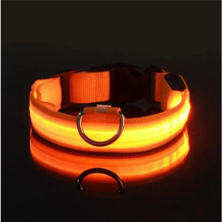 BowLift | LED Safety Dog Collar with Adjustable Fit