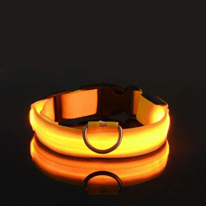 BowLift | LED Safety Dog Collar with Adjustable Fit