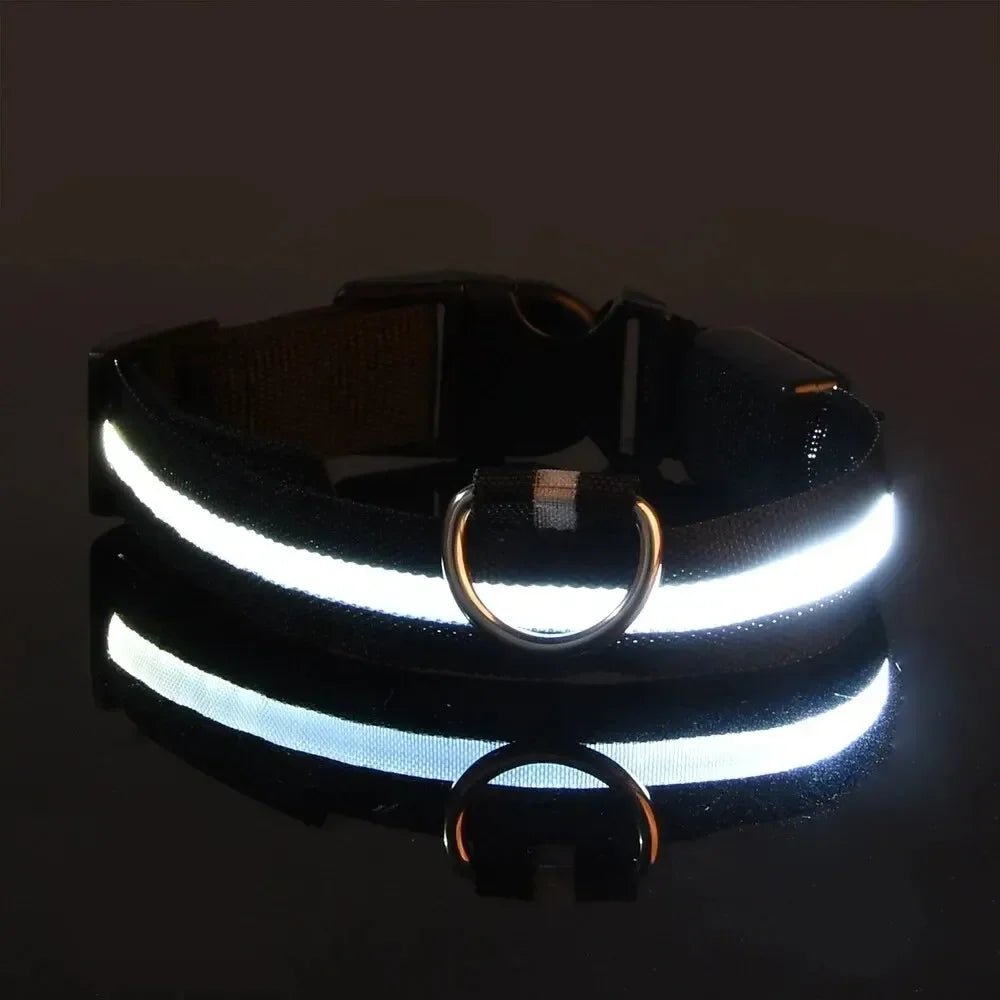 BowLift | LED Safety Dog Collar with Adjustable Fit