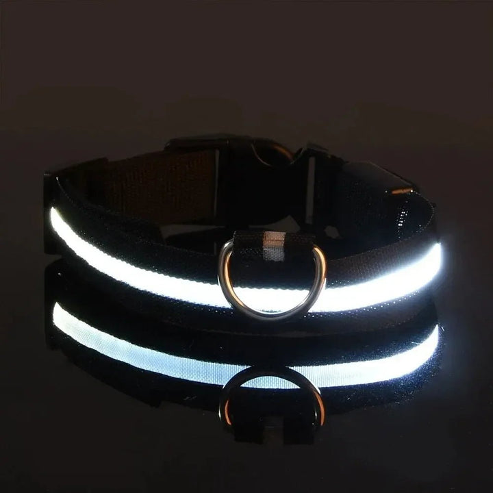 BowLift | LED Safety Dog Collar with Adjustable Fit