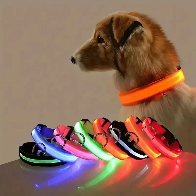 BowLift | LED Safety Dog Collar with Adjustable Fit