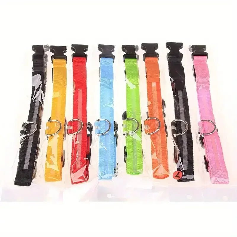 BowLift | LED Safety Dog Collar with Adjustable Fit