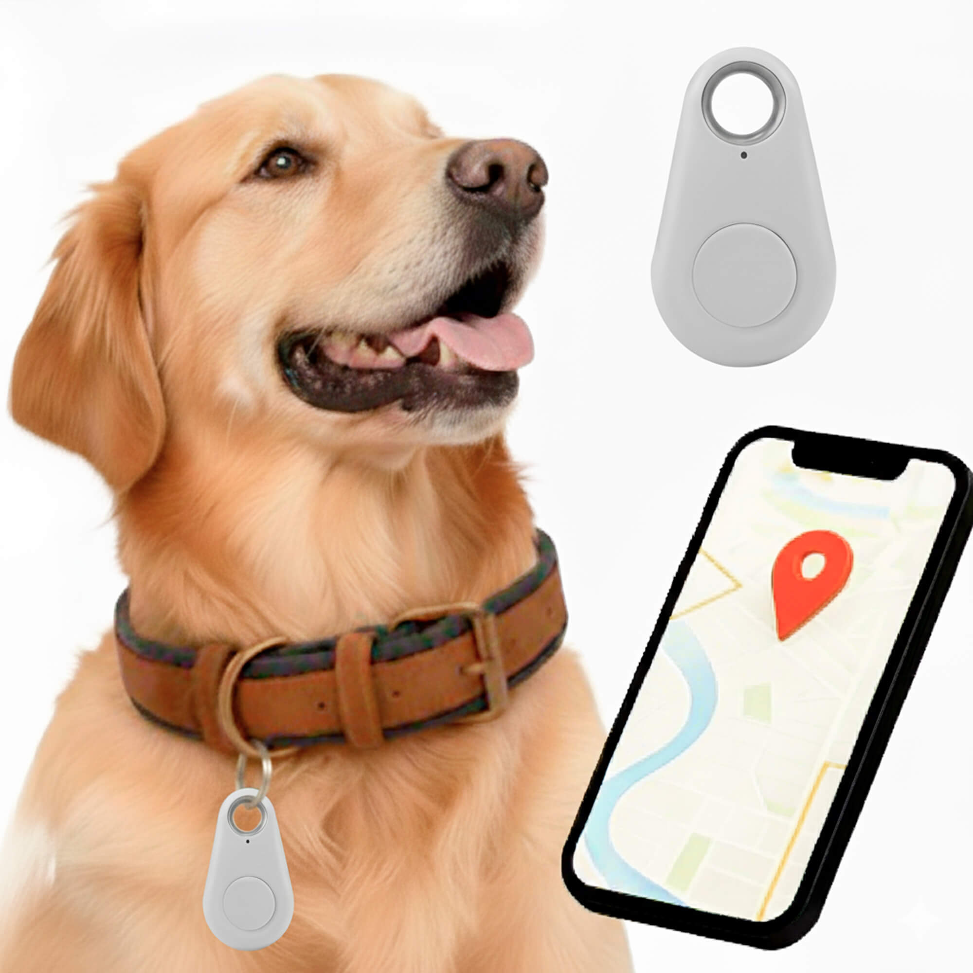 BowLift | GPS Dog Tracker | Waterproof, Real-Time Location & Safety Zone Alerts for Outdoor Adventures