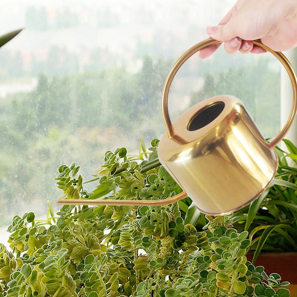 BowLift | Elliptical Watering Can