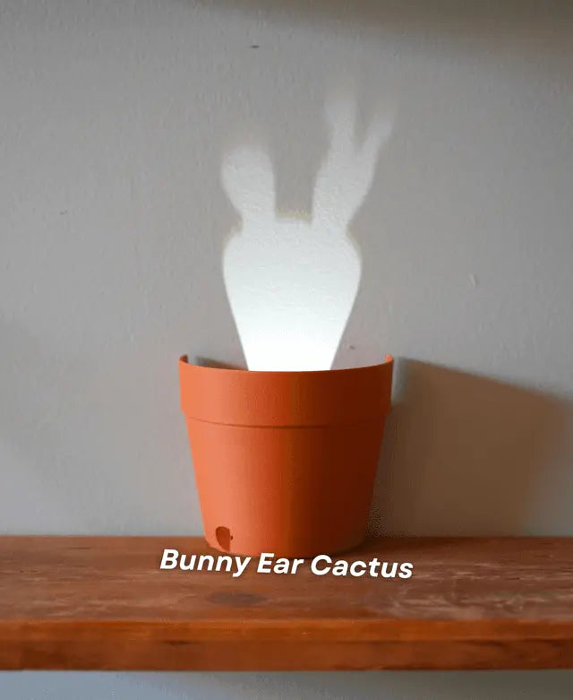 BowLift | Garden-Graveyard-Plant Pot with LED Light Projection