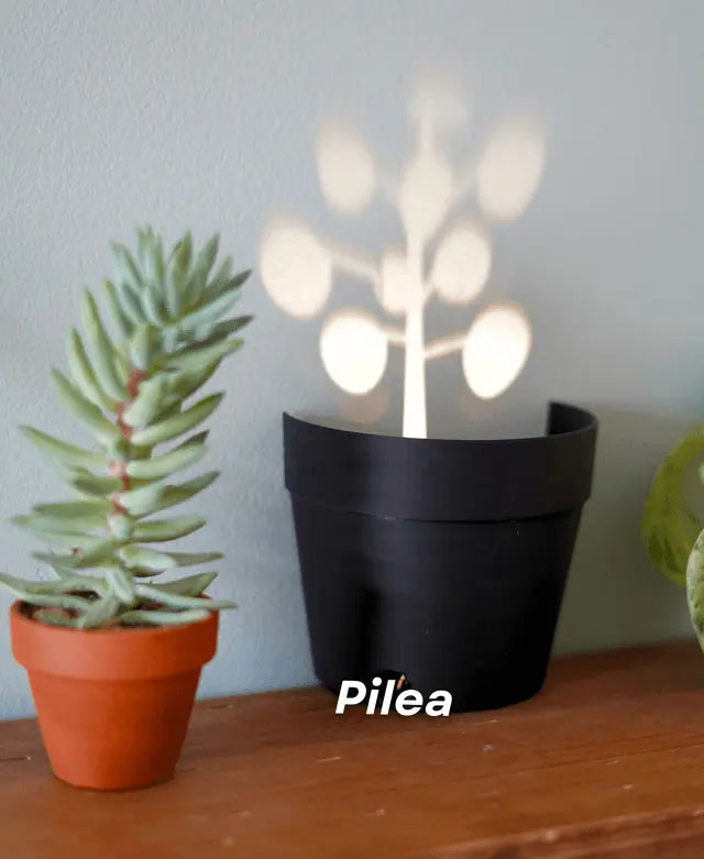 BowLift | Garden-Graveyard-Plant Pot with LED Light Projection