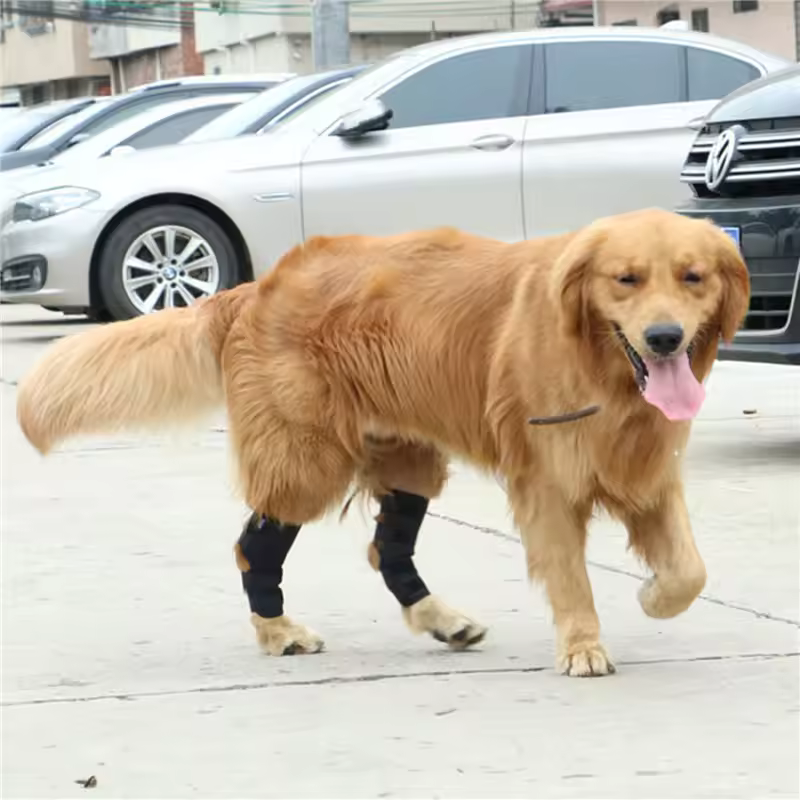 Joint support for dogs stabilizing & protecting Bowlift