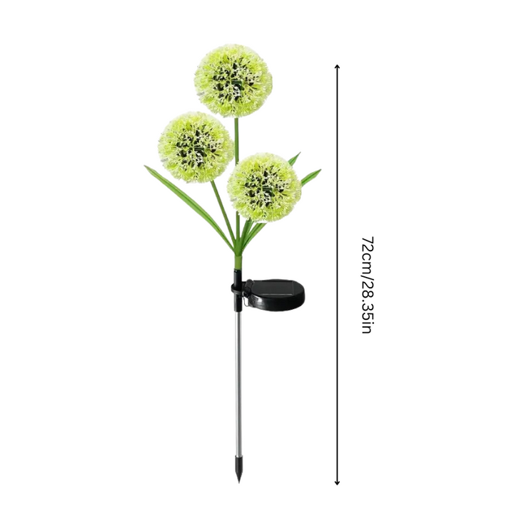 BowLift | GlowBloom