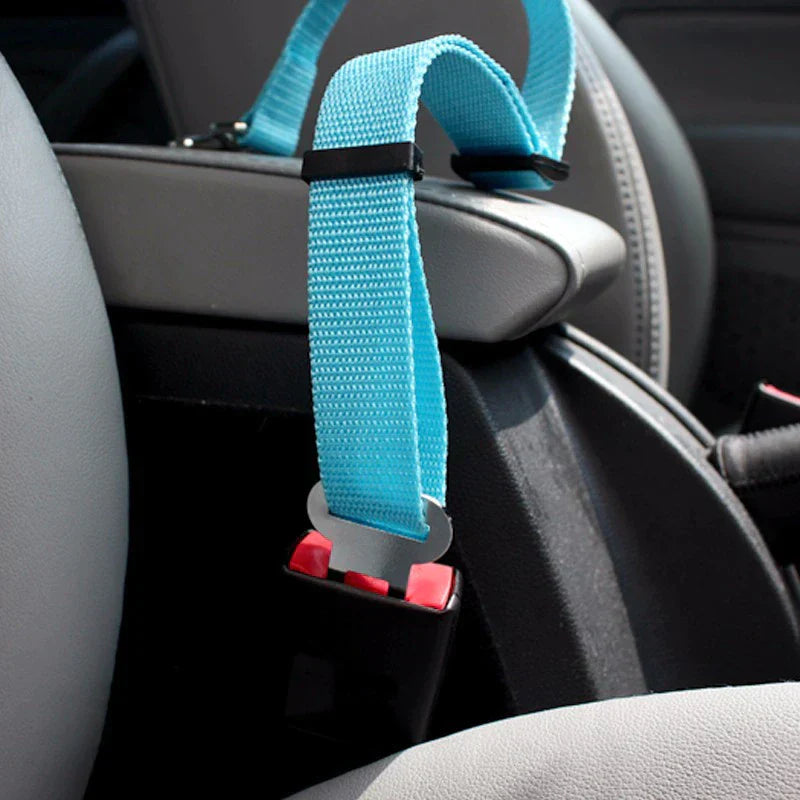 Safety seatbelt for Pets Bowlift