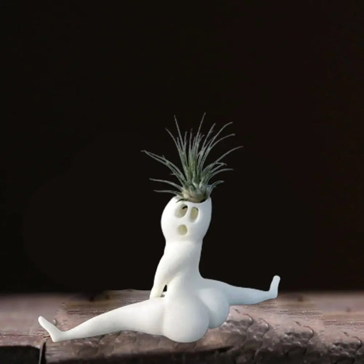 BowLift | Spooky Shape Air Plant Display - SpookyBuddy