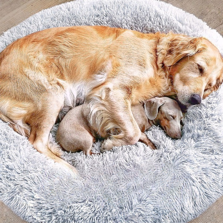 BowLift | FluffyNest Comfort Dog Bed – Orthopedic Plush Sleeping Cushion for Dogs