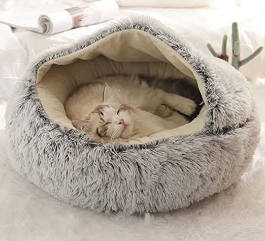 BowLift | Soft Luxury Basket for Cats & Small Dogs