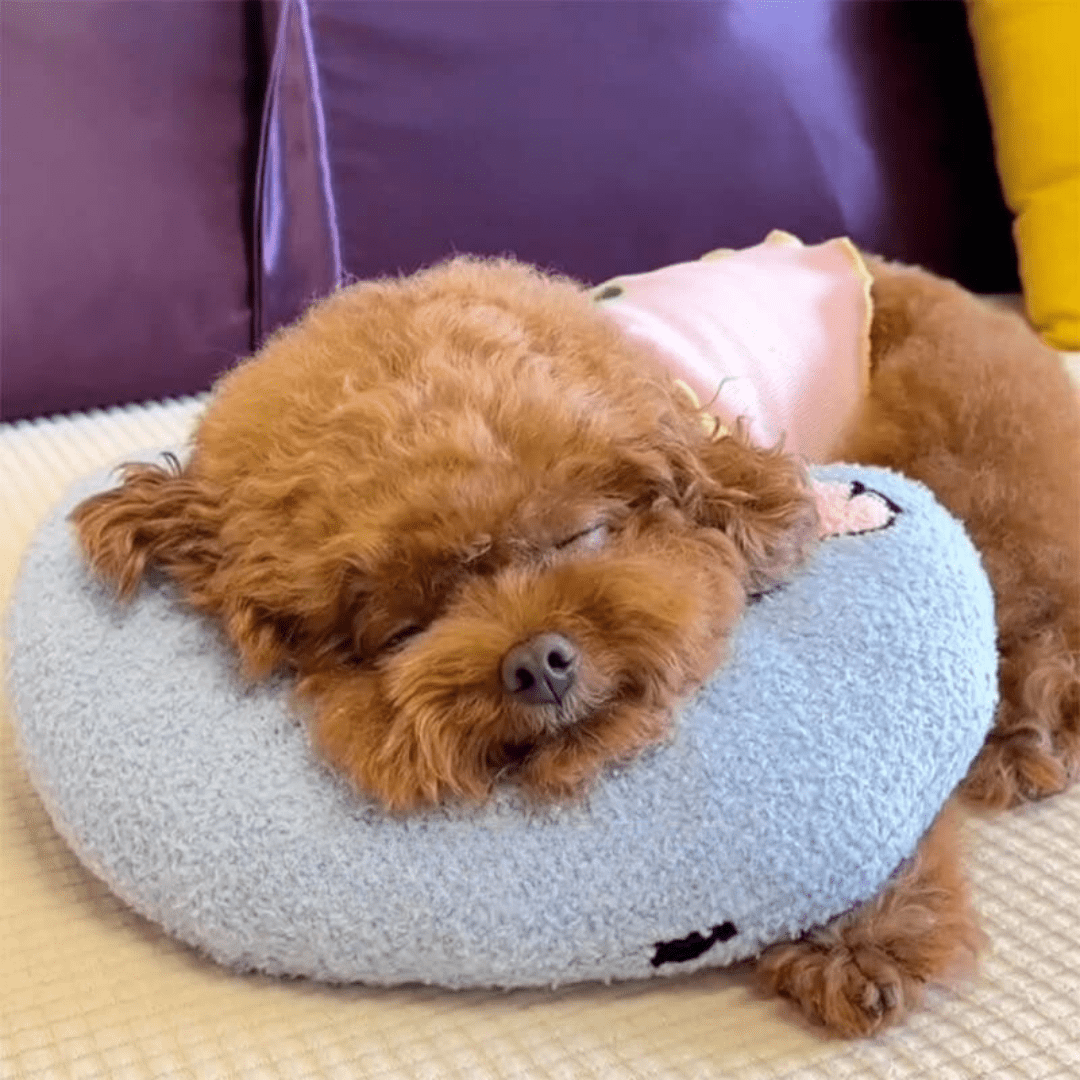 BowLift | Orthopaedic dog cushion against stress & anxiety