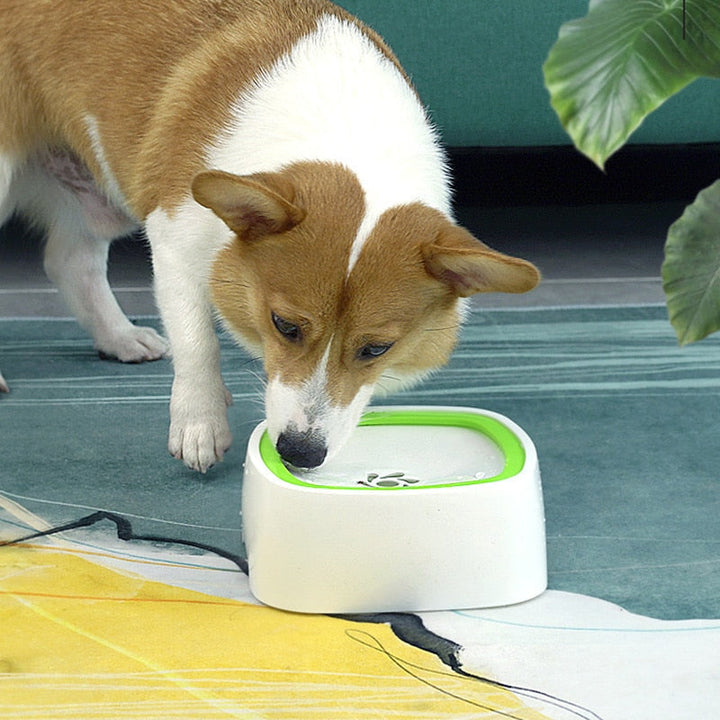 BowLift | No-Spill Pet Water Dispenser Bowl