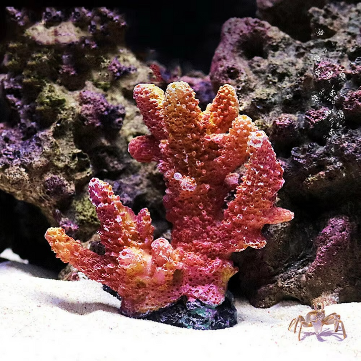 BowLift | Vibrant Resin Coral Reef Decor for Aquariums