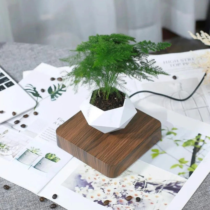 BowLift | Anti-gravity plants - Astonish your space - Nature reinvented