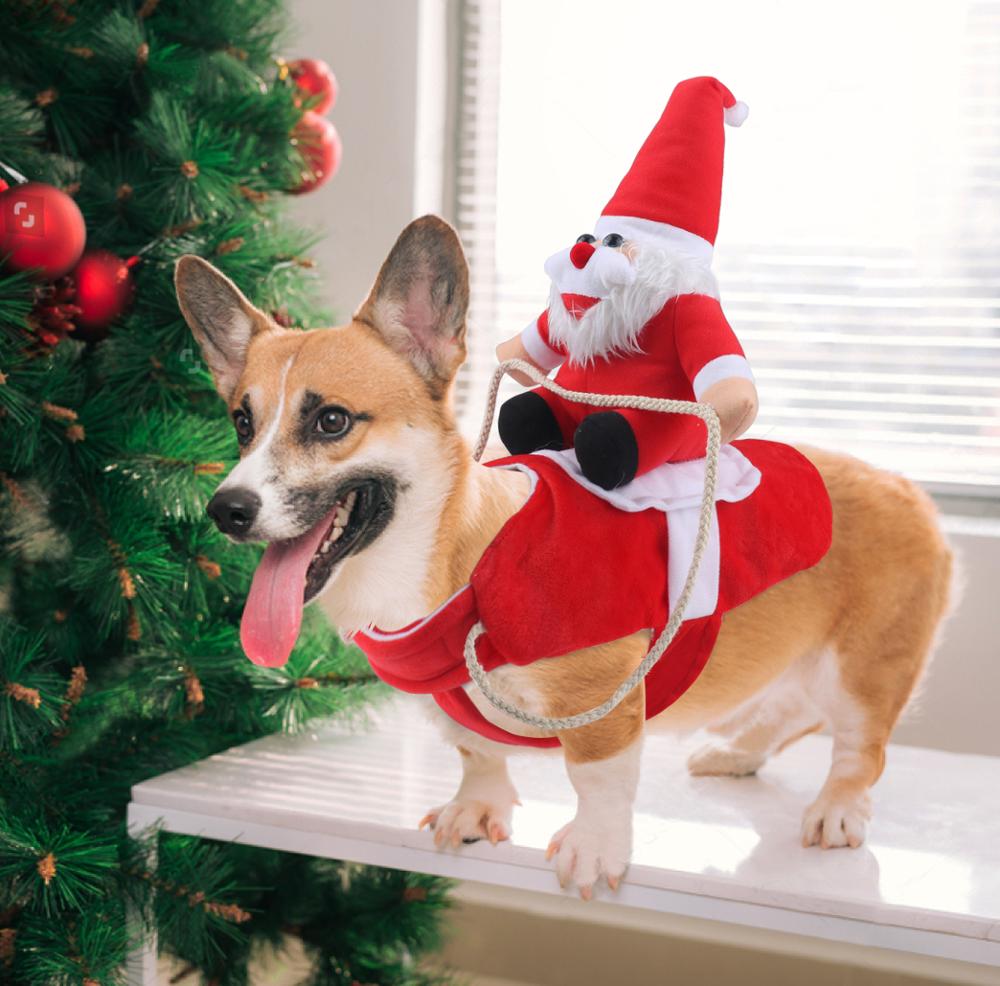 BowLift | SantaPaw™ Holiday Spirit for Pets