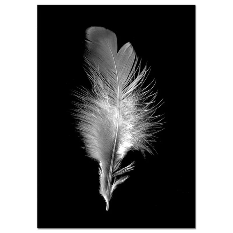 Pink Angel Wings Ballet Dancer Wall Art Fine Art Canvas Prints Black White Fashion Pictures For Living Room Bedroom Salon Art Decor | Bowlift