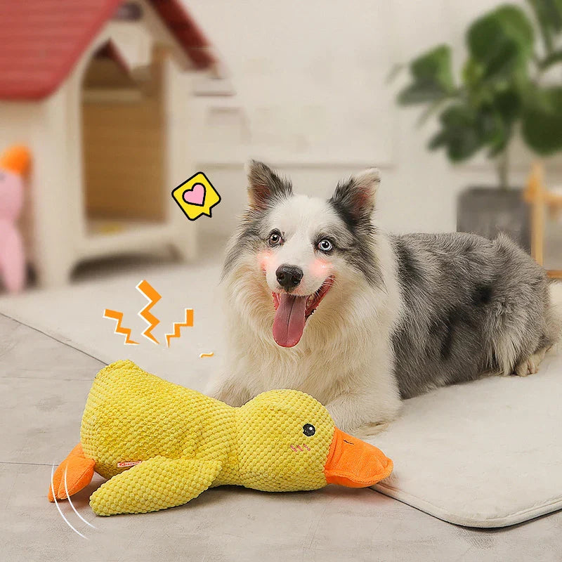BowLift | Calming duck for dogs
