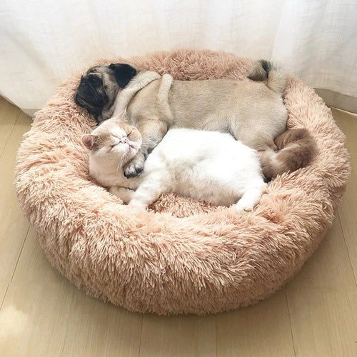 BowLift | Pet Donut Sofa - Let your pet enjoy comfort 🐾