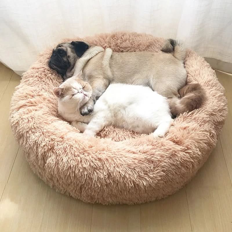BowLift | Pet Donut Sofa – Cozy retreat for pets & protection for your furniture