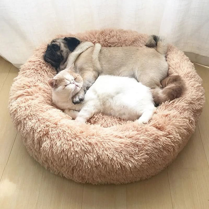 BowLift | Pet Donut Sofa – Cozy retreat for pets & protection for your furniture
