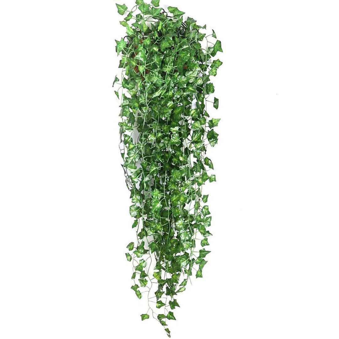 EvergreenGlow – Always Green Plants for Any Season Bowlift
