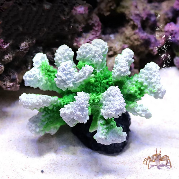 BowLift | Vibrant Resin Coral Reef Decor for Aquariums