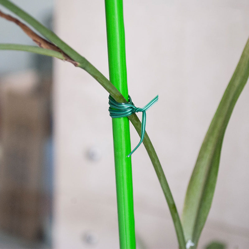Garden Wire Easy Tie Cable Tool | Bowlift