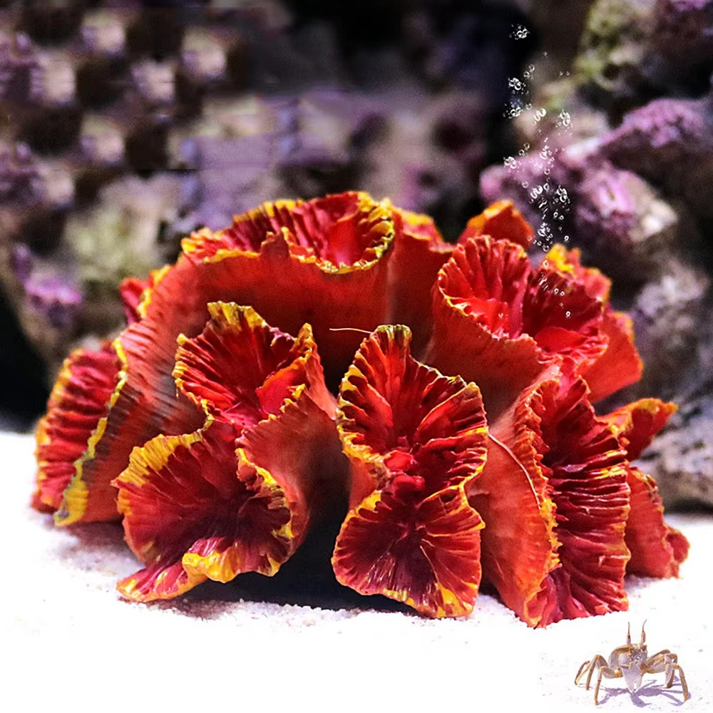 BowLift | Vibrant Resin Coral Reef Decor for Aquariums