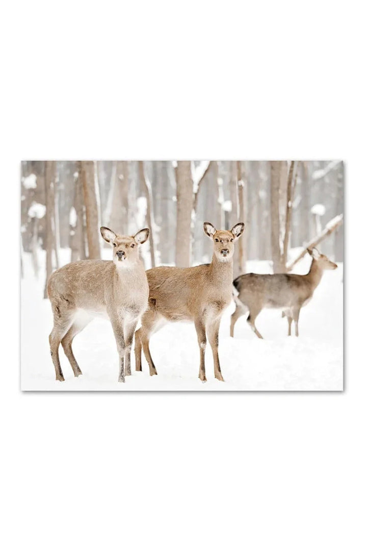 Canvas poster | Bowlift