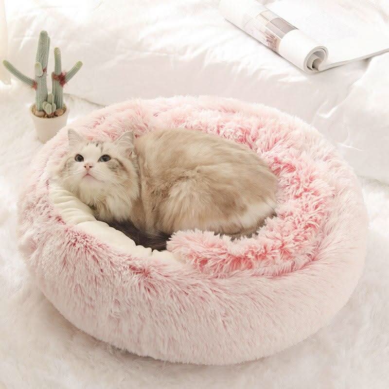 BowLift | Soft Luxury Basket for Cats & Small Dogs