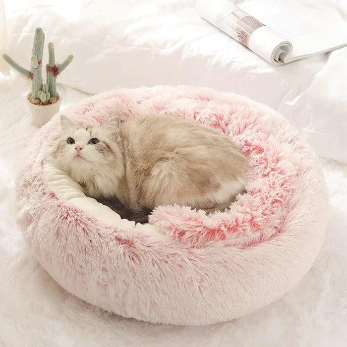 Cat bed | Bowlift
