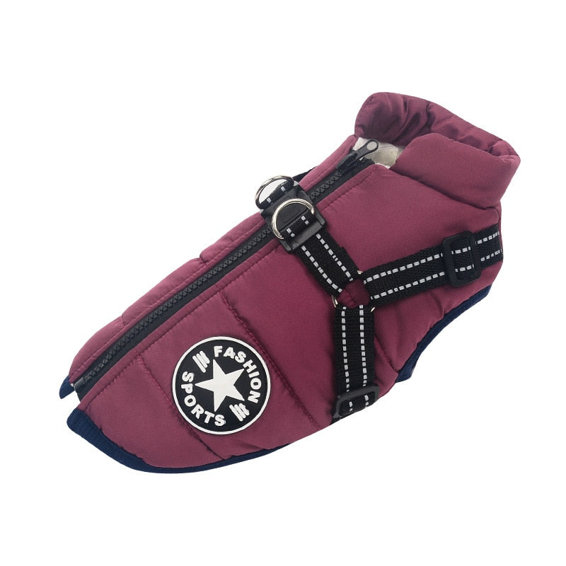 BowLift | Stylish and warm jacket for winter walks