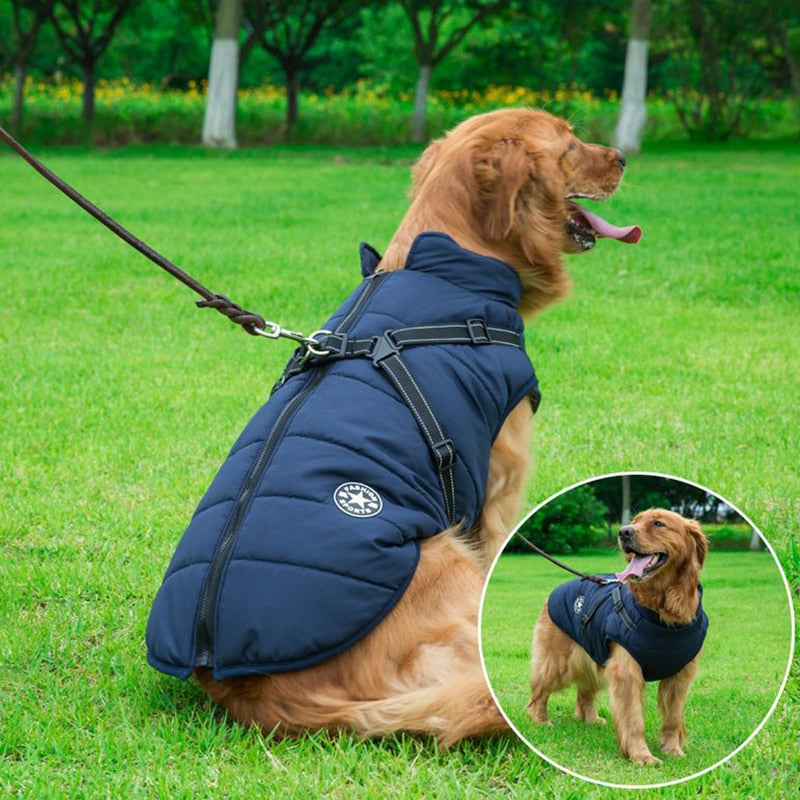 BowLift | Stylish and warm jacket for winter walks