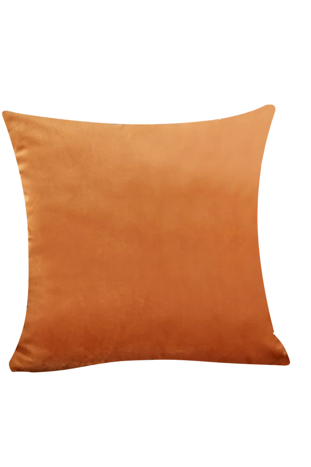 Beige Velvet Cushion Cover | Bowlift