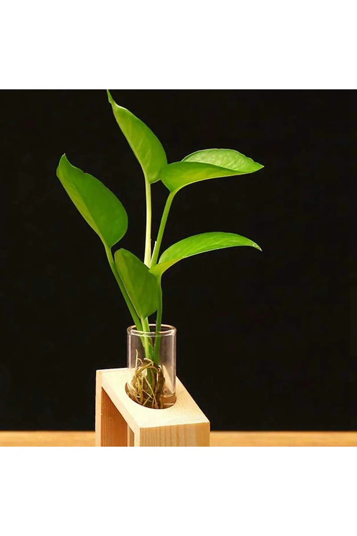 Plant Pot | Bowlift