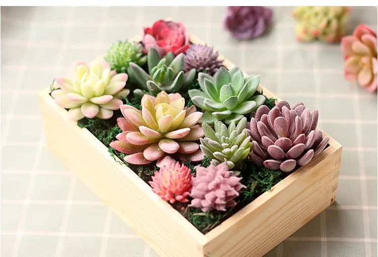 BowLift | Floryvo Decorative Succulents | Deceptively Real | Carefree & Durable | Set of Artificial Plants
