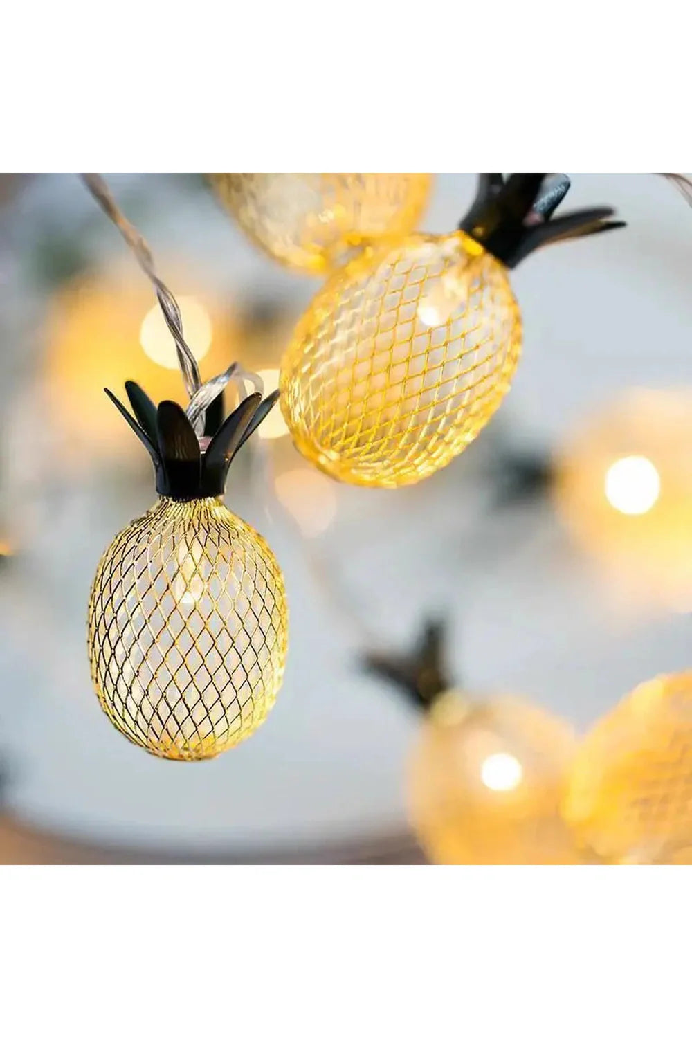 String lights | Bowlift